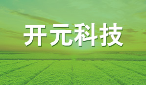 扎實推進鄉村振興